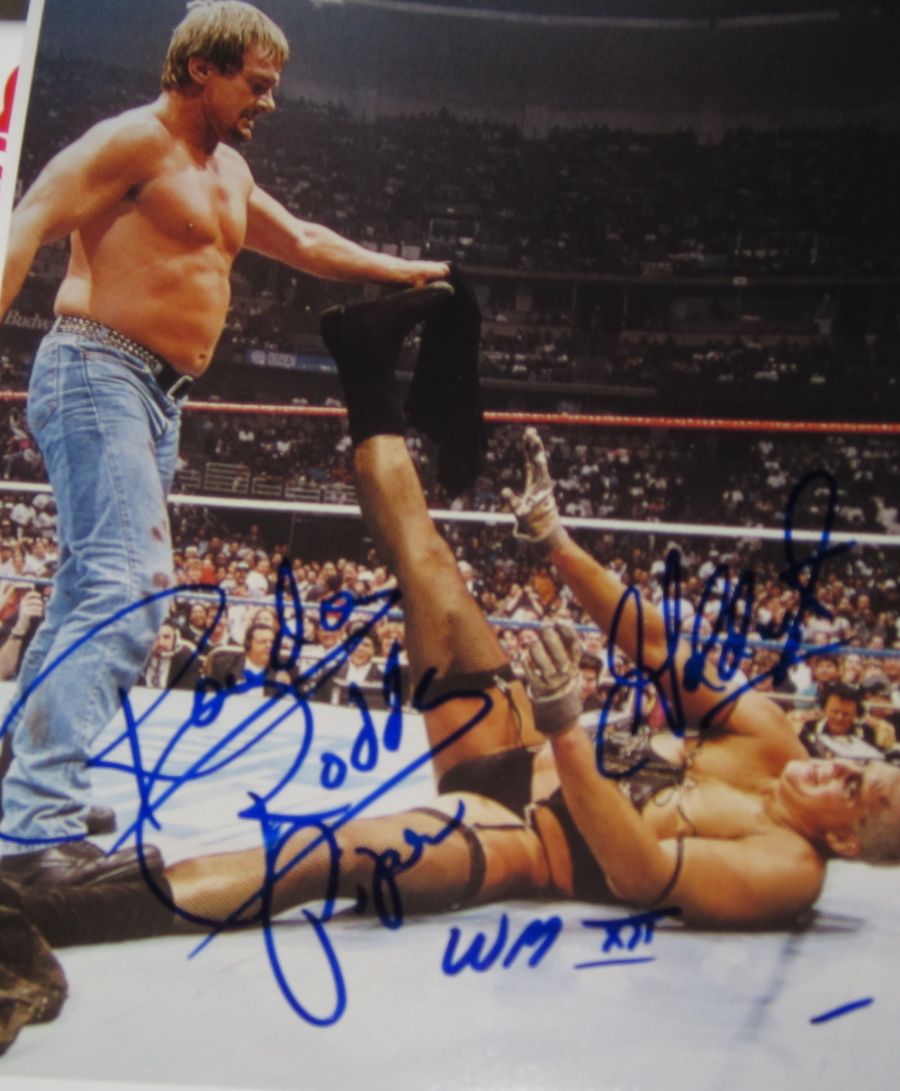 "Rowdy" Roddy Piper & Goldust WWF WWE