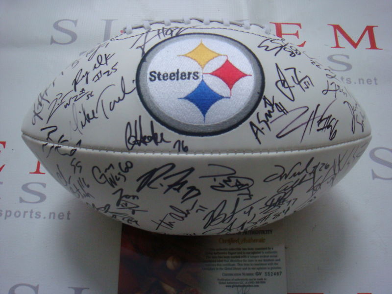 2010-11 Pittsburgh Steelers