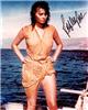 Sophia Loren autographed