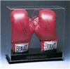 Double Boxing Glove Display photo