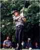 Signed Greg Norman