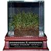 Freeze-Dried Grass from the Original Yankee Stadium  autographed