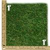 1 x 1 Piece of Authentic Sod from the Original Yankee Stadium  autographed