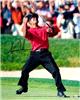 Tiger Woods autographed