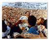 1972 Miami Dolphns autographed