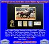 Seattle Slew autographed