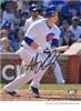 Anthony Rizzo autographed