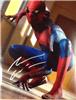 Andrew Garfield Spiderman autographed