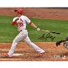 Signed Stephen Piscotty