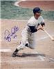 Roy White autographed